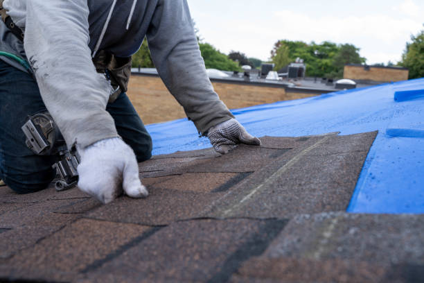 Best Storm Damage Roof Repair  in Wrightsville, AR